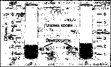 Уилмор - Физиология Спорта