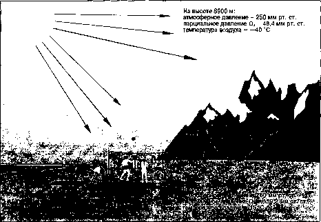 Уилмор - Физиология Спорта