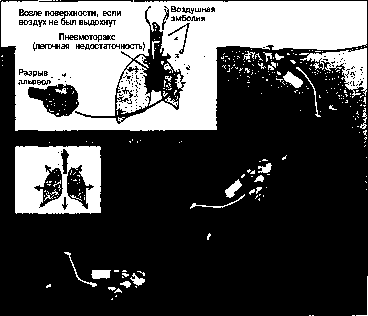 Уилмор - Физиология Спорта