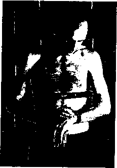 Уилмор - Физиология Спорта