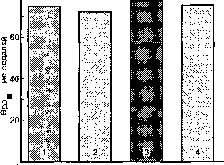 Уилмор - Физиология Спорта