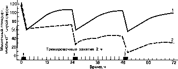 Уилмор - Физиология Спорта