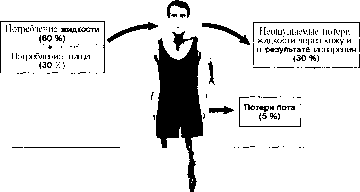 Уилмор - Физиология Спорта