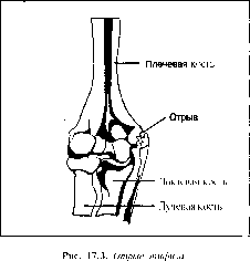 Уилмор - Физиология Спорта