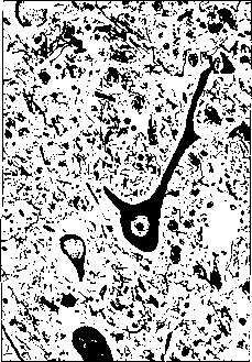 ������ - ���������� ������