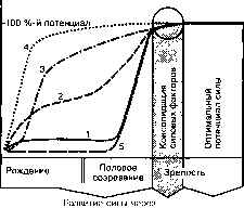 Уилмор - Физиология Спорта