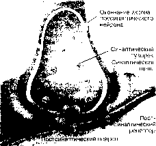 ������ - ���������� ������