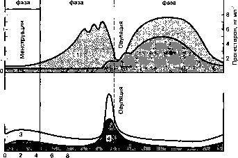 Уилмор - Физиология Спорта