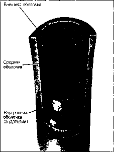 Уилмор - Физиология Спорта