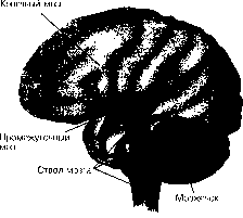 ������ - ���������� ������