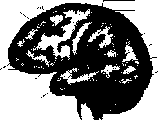 ������ - ���������� ������