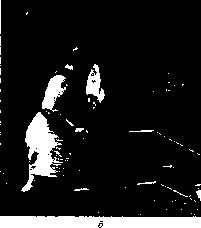 Уилмор - Физиология Спорта