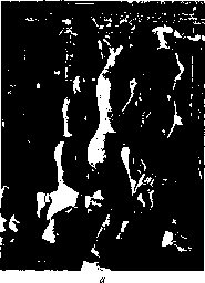 Уилмор - Физиология Спорта