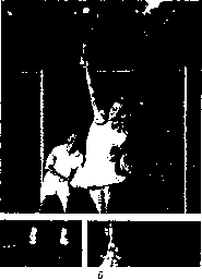 Уилмор - Физиология Спорта