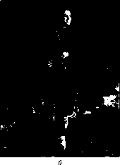 Уилмор - Физиология Спорта