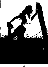 Уилмор - Физиология Спорта