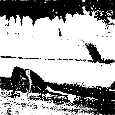 Уилмор - Физиология Спорта