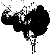 ������ - ���������� ������