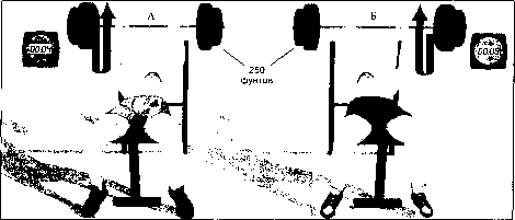 ������ - ���������� ������