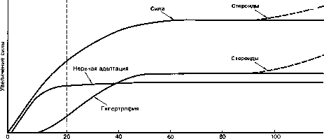 ������ - ���������� ������