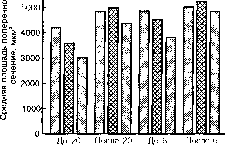 ������ - ���������� ������