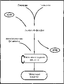 ������ - ���������� ������