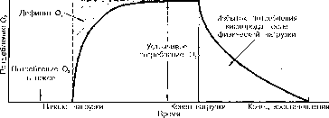 ������ - ���������� ������