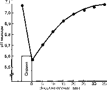 ������ - ���������� ������