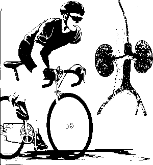 ������ - ���������� ������