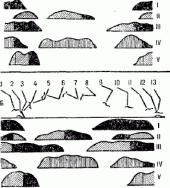 ��������������� ������ ������������ ������������ �������