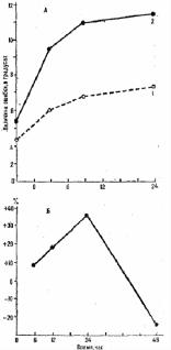 ���� ������������ (�������� ������) 