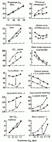 ������� ��������������