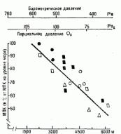 �������� ���