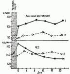 �������� ���