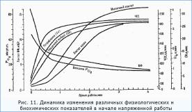 ������������� ������������ ����������

