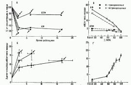 ���������� ���������

