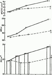 ����� ������������ ���� � ������������