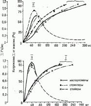 ����� ������������ ���� � ������������