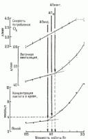 �������������� �������������� ���������-������� ����������