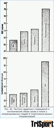 ������� �����