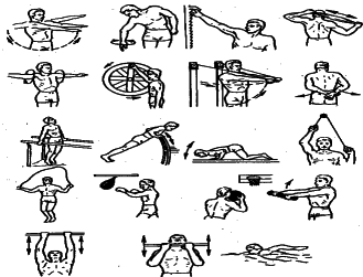 ���������� - �������� ���������� �������� (�������������)