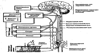 ���������� - �������� ���������� �������� (�������������)