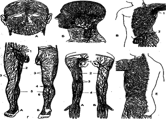 ���������� - �������� ���������� �������� (�������������)