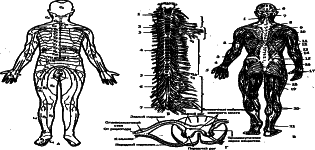 ���������� - �������� ���������� �������� (�������������)