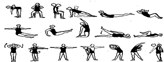 ���������� - �������� ���������� �������� (�������������)