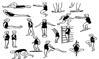 ���������� - �������� ���������� �������� (�������������)