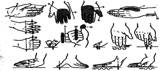 ���������� - �������� ���������� �������� (�������������)