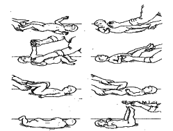 ���������� - �������� ���������� �������� (�������������)