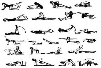 ���������� - �������� ���������� �������� (�������������)