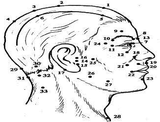 ���������� - �������� ���������� �������� (�������������)